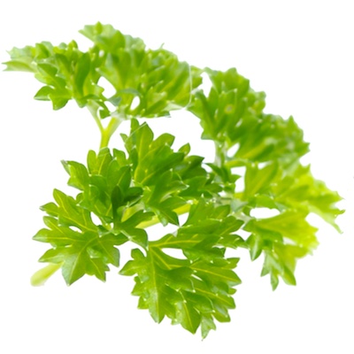 fresh parsley or tarragon