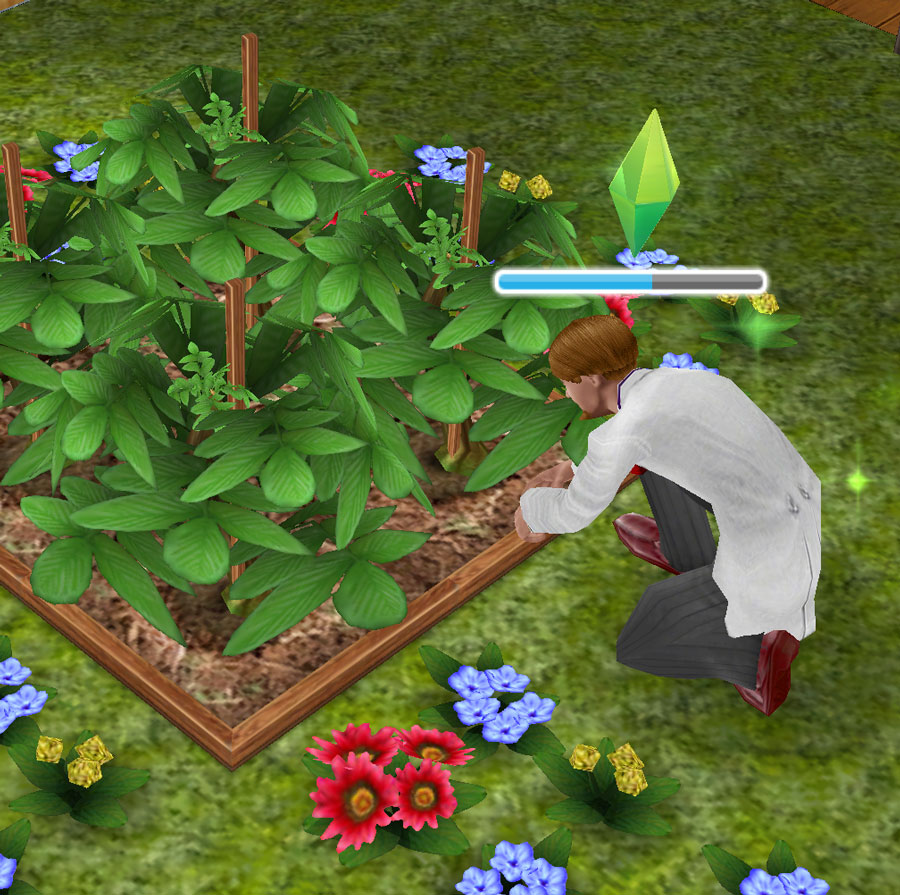 Money Plants cheats for The Sims FreePlay on iP